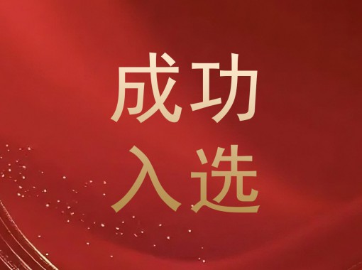 �ɹ���ѡ(1)